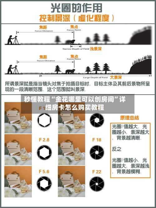 秒懂教程“金花哪里可以创房间”详细房卡怎么购买教程-第2张图片
