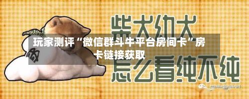 玩家测评“微信群斗牛平台房间卡”房卡链接获取-第2张图片