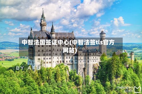 中智法国签证中心(中智法签tls官方网站)