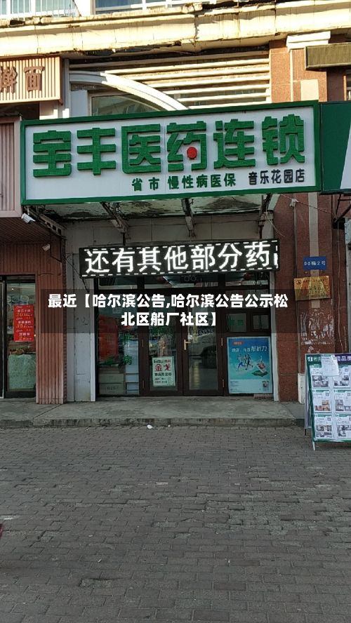最近【哈尔滨公告,哈尔滨公告公示松北区船厂社区】-第2张图片