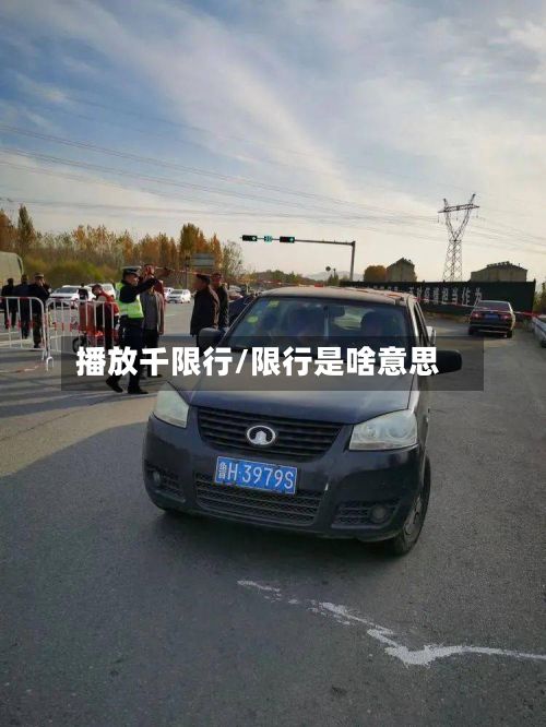 播放千限行/限行是啥意思