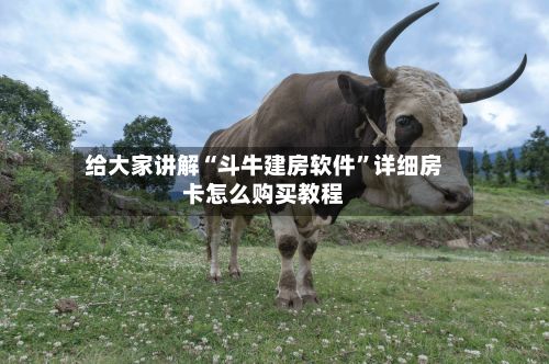 给大家讲解“斗牛建房软件”详细房卡怎么购买教程-第3张图片