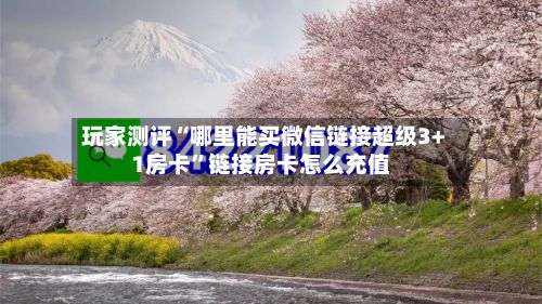 玩家测评“哪里能买微信链接超级3+1房卡	”链接房卡怎么充值-第2张图片
