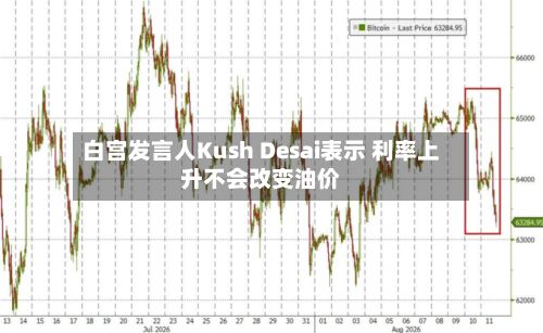 白宫发言人Kush Desai表示 利率上升不会改变油价