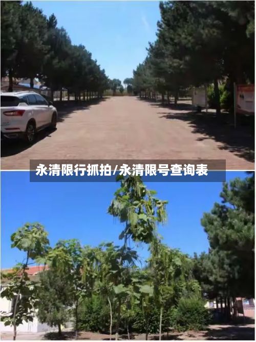 永清限行抓拍/永清限号查询表-第3张图片