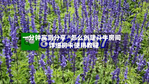 一分钟实测分享“怎么创建斗牛房间”详细房卡使用教程-第2张图片