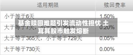 基金赎回难题引发流动性担忧 土耳其股市触发熔断-第3张图片