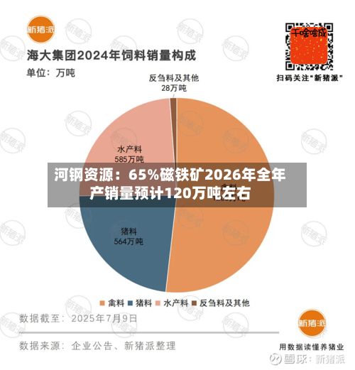 河钢资源：65%磁铁矿2026年全年产销量预计120万吨左右