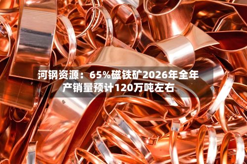 河钢资源：65%磁铁矿2026年全年产销量预计120万吨左右-第2张图片