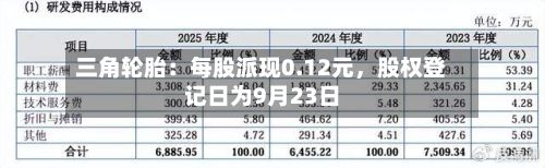 三角轮胎：每股派现0.12元	，股权登记日为9月23日-第2张图片