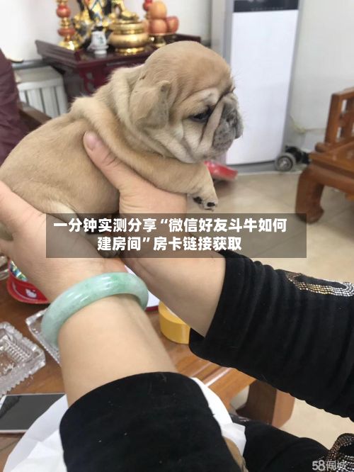 一分钟实测分享“微信好友斗牛如何建房间”房卡链接获取-第2张图片