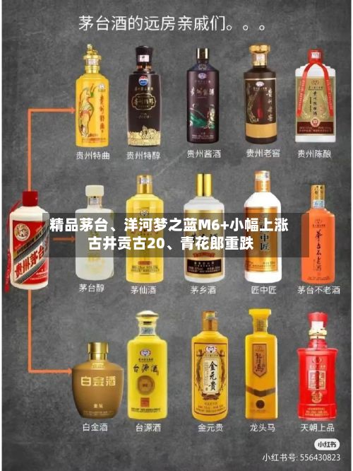精品茅台、洋河梦之蓝M6+小幅上涨 古井贡古20、青花郎重跌-第2张图片