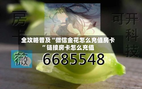 全攻略普及“微信金花怎么充值房卡”链接房卡怎么充值-第2张图片