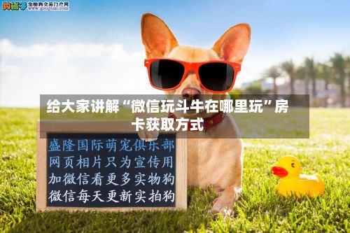 给大家讲解“微信玩斗牛在哪里玩”房卡获取方式