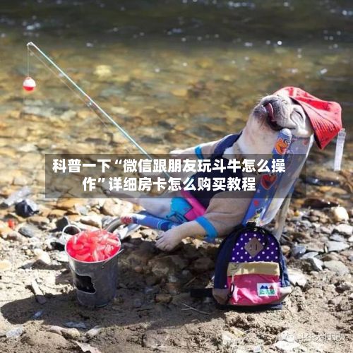 科普一下“微信跟朋友玩斗牛怎么操作”详细房卡怎么购买教程-第2张图片