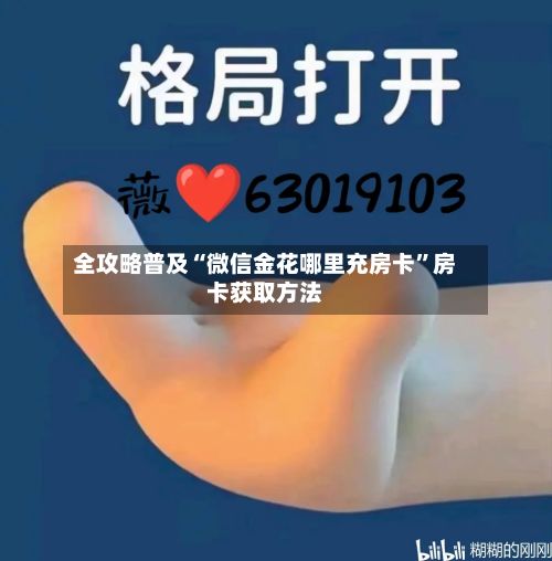 全攻略普及“微信金花哪里充房卡”房卡获取方法-第2张图片