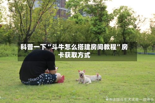 科普一下“斗牛怎么搭建房间教程	”房卡获取方式-第2张图片