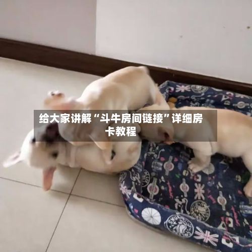 给大家讲解“斗牛房间链接	”详细房卡教程-第2张图片