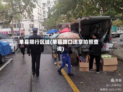 单县限行区域(单县路口违章拍照查询)-第2张图片