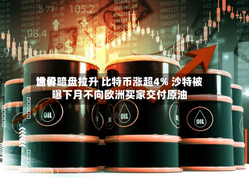 世界
油价暗盘拉升 比特币涨超4% 沙特被曝下月不向欧洲买家交付原油
