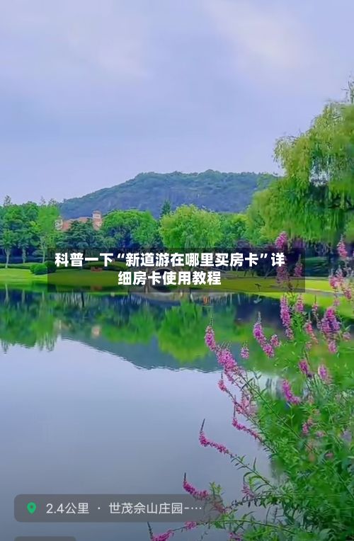 科普一下“新道游在哪里买房卡	”详细房卡使用教程-第2张图片