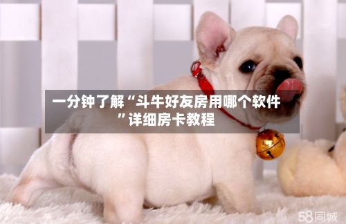 一分钟了解“斗牛好友房用哪个软件”详细房卡教程