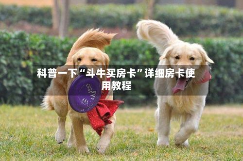 科普一下“斗牛买房卡”详细房卡使用教程-第3张图片