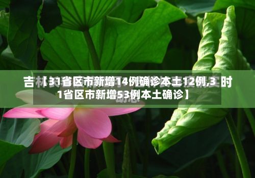 【31省区市新增14例确诊本土12例,31省区市新增53例本土确诊】-第2张图片