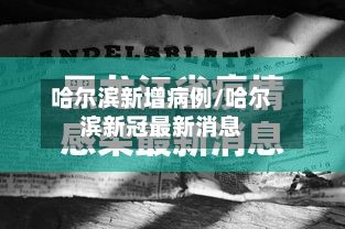 哈尔滨新增病例/哈尔滨新冠最新消息-第2张图片