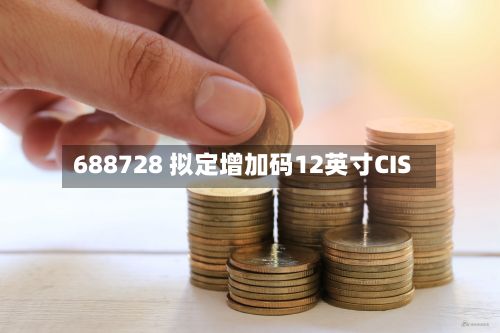688728 拟定增加码12英寸CIS