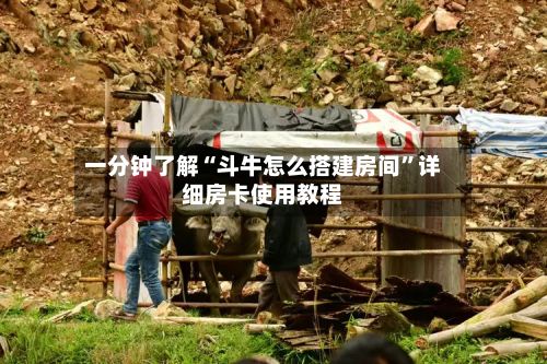 一分钟了解“斗牛怎么搭建房间”详细房卡使用教程-第2张图片