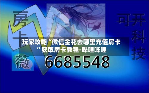 玩家攻略“微信金花去哪里充值房卡”获取房卡教程-哔哩哔哩-第2张图片