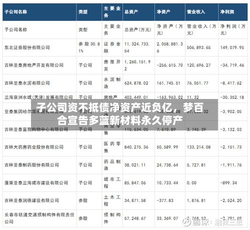 子公司资不抵债净资产近负亿，梦百合宣告多蓝新材料永久停产-第2张图片