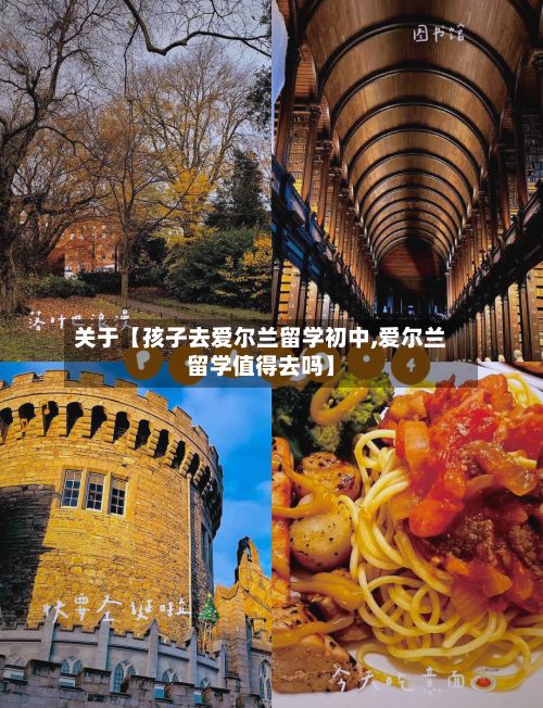 关于【孩子去爱尔兰留学初中,爱尔兰留学值得去吗】-第2张图片