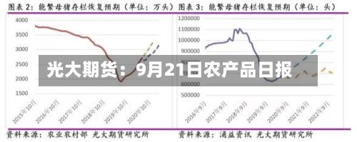 光大期货：9月21日农产品日报-第1张图片