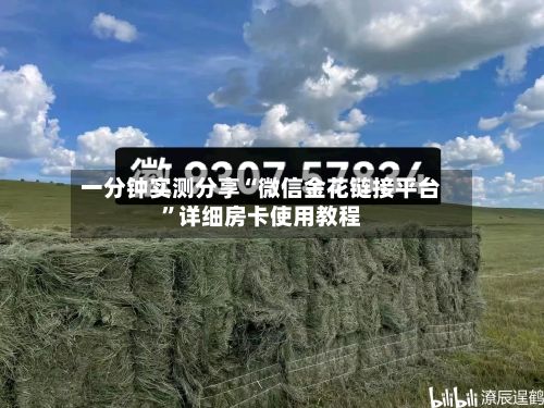 一分钟实测分享“微信金花链接平台”详细房卡使用教程