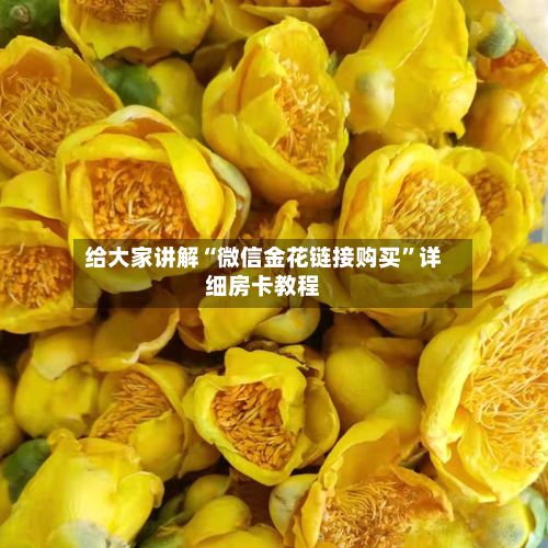 给大家讲解“微信金花链接购买”详细房卡教程-第2张图片