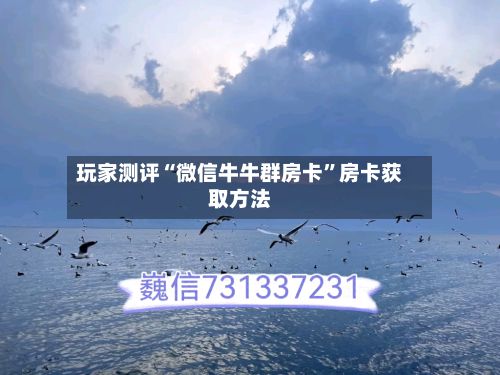 玩家测评“微信牛牛群房卡”房卡获取方法