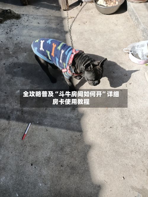 全攻略普及“斗牛房间如何开”详细房卡使用教程-第2张图片