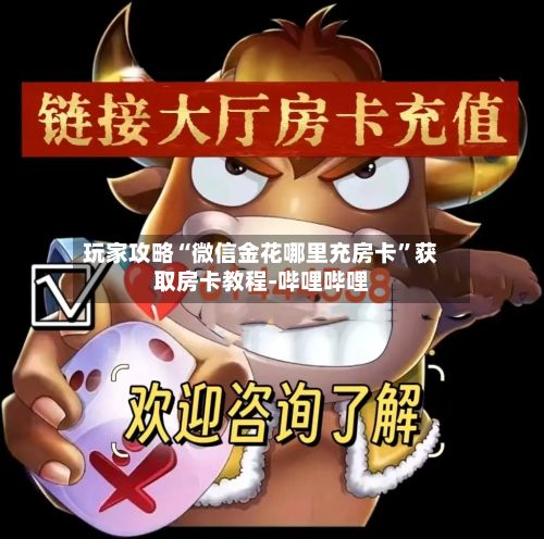 玩家攻略“微信金花哪里充房卡	”获取房卡教程-哔哩哔哩-第3张图片