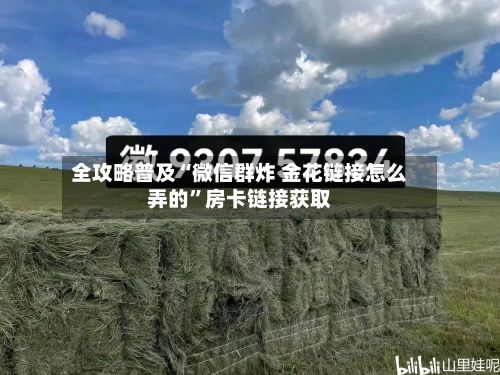全攻略普及“微信群炸 金花链接怎么弄的”房卡链接获取
