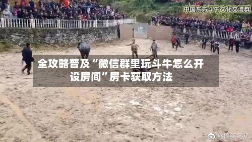 全攻略普及“微信群里玩斗牛怎么开设房间”房卡获取方法-第2张图片