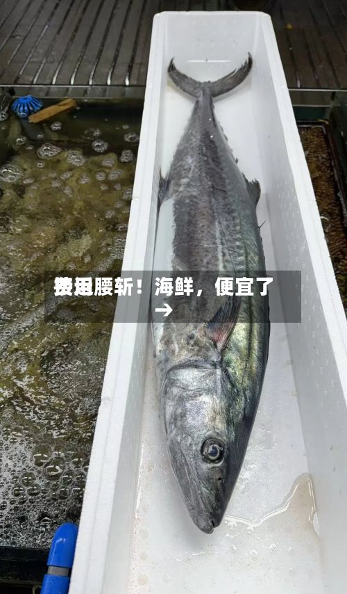 费用接近腰斩！海鲜，便宜了→-第2张图片