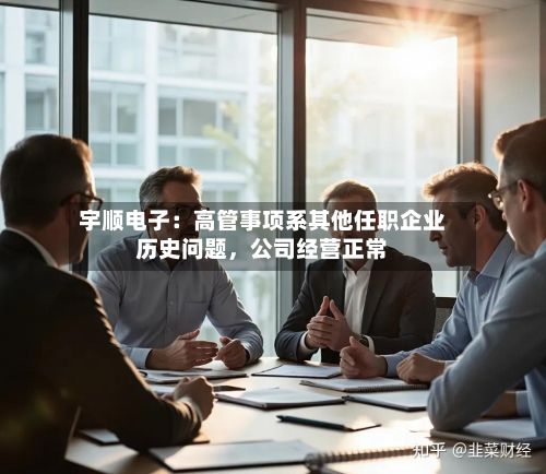 宇顺电子：高管事项系其他任职企业历史问题，公司经营正常