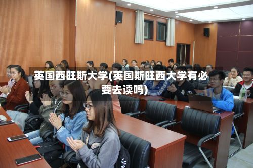 英国西旺斯大学(英国斯旺西大学有必要去读吗)-第2张图片