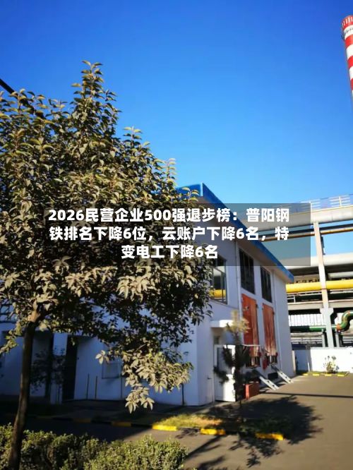 2026民营企业500强退步榜：普阳钢铁排名下降6位，云账户下降6名，特变电工下降6名