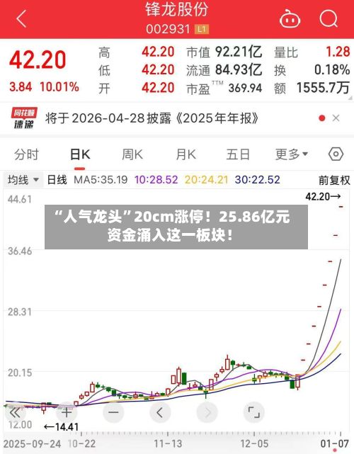 “人气龙头”20cm涨停！25.86亿元资金涌入这一板块！-第2张图片