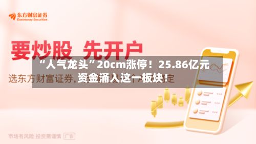 “人气龙头”20cm涨停！25.86亿元资金涌入这一板块！