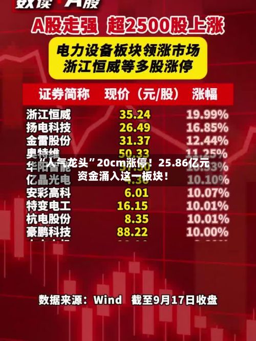 “人气龙头”20cm涨停！25.86亿元资金涌入这一板块！-第3张图片